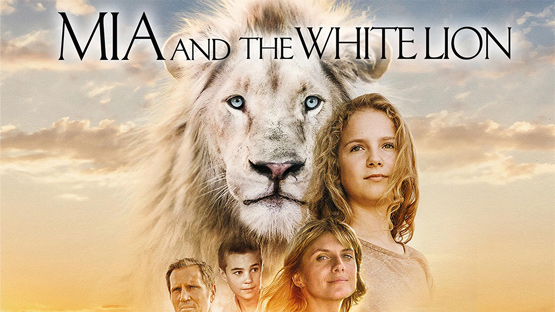 Cursos de inglés conversacionales para adultos mayores en Bogotá